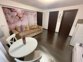 Apartament Mihaela